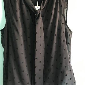 NWT, Pussycat Bow Blouse, Black--Calvin Klein